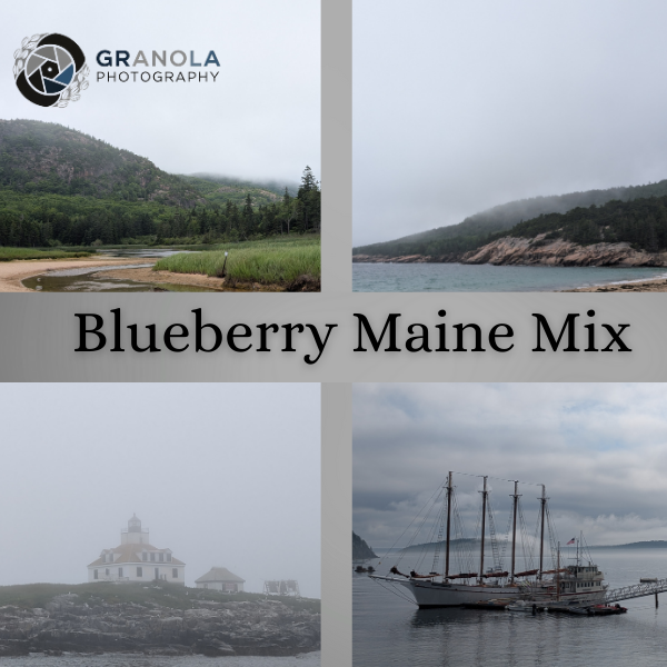 New Release! Blueberry Maine Mix!