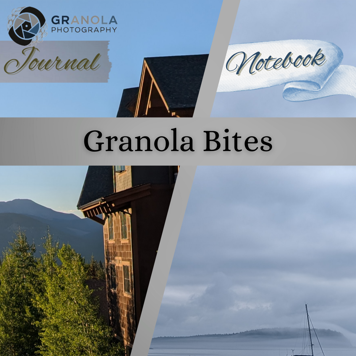 New Release! Granola Bites