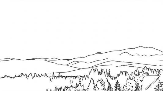 Free Coloring Photo Samples